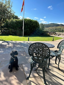 the rose and thistle alwinton