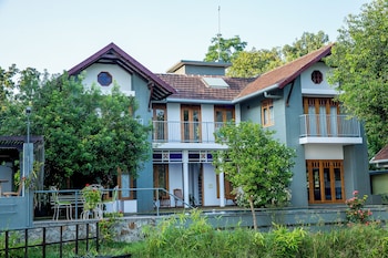 hibiscus earth cgh earth