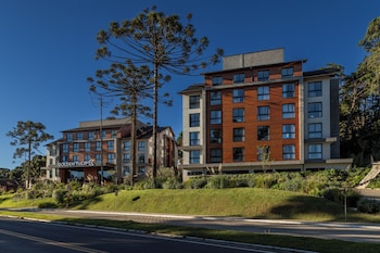 golden tulip canela oficial