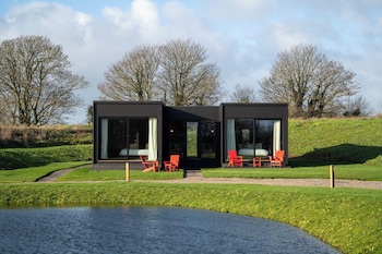 Mad Swans In The Mendips,,3 star