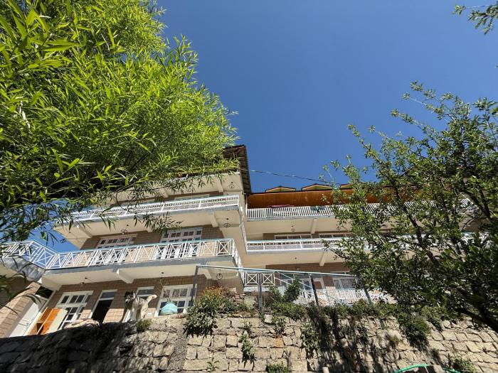 hotel the premium villa old manali view