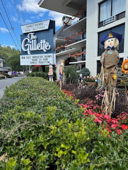 the gillette