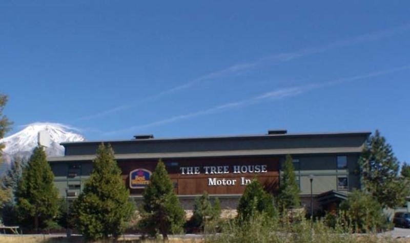 best western plus tree house