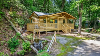 gburg pet friendly studio cabin 5 firepit games