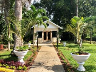 gold nugget hotel
