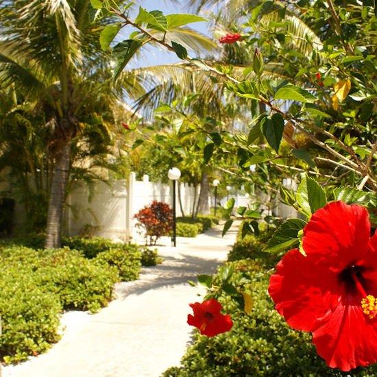 Barefoot Beach Resort,Clearwater Beach>>Clearwater,4 star