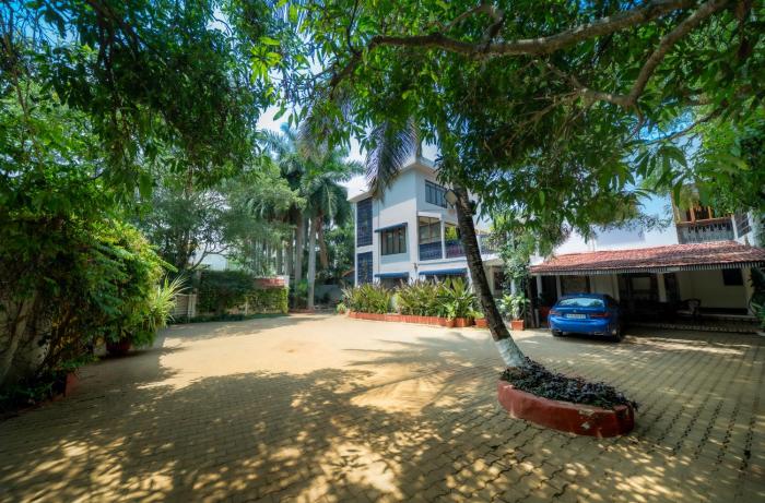 the amore collective