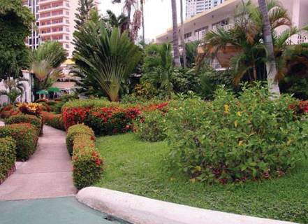 El Tropicano,Barra Vieja>>Acapulco,2.5 star