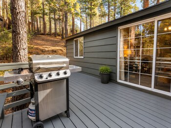 dark pine retreat