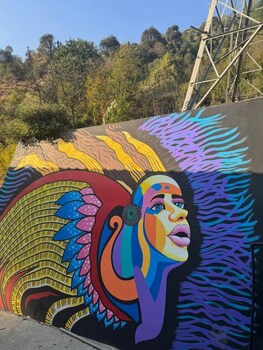 Star Vibes Resort,,2 star