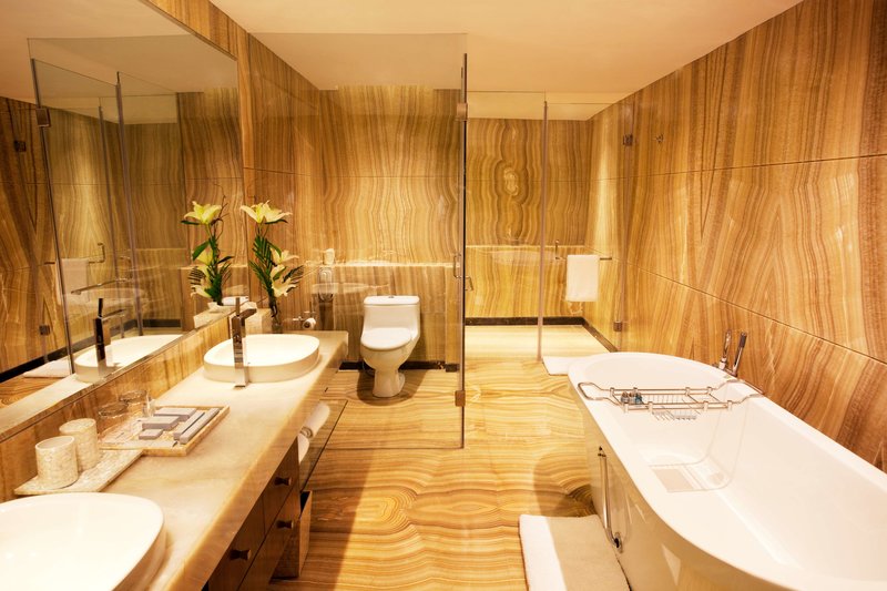 Radisson Blu Plaza Delhi Airport,Mahipalpur,5 star