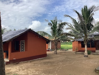 coconut tree cottages