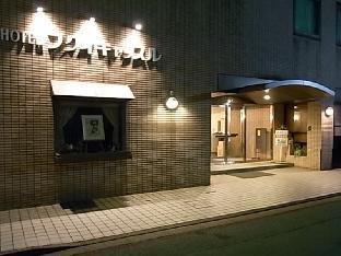 Hotel Fukui Castle