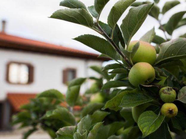 Casa De La Cadena,Baztan>>Asiain,3 star