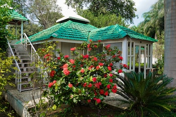 village machaan resort