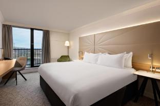 hilton birmingham metropole