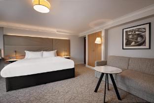 hilton birmingham metropole
