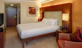 hilton birmingham metropole