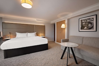 hilton birmingham metropole