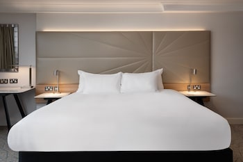 hilton birmingham metropole