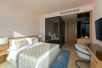 cote dazur hotel monaco