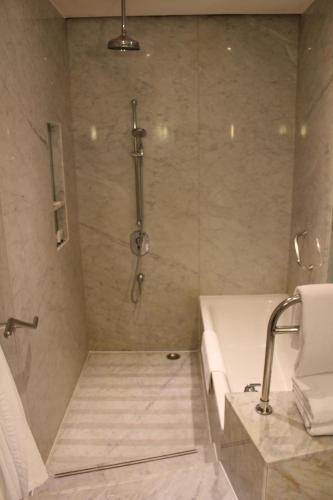 hyatt regency kolkata