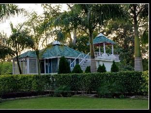 village machaan resort