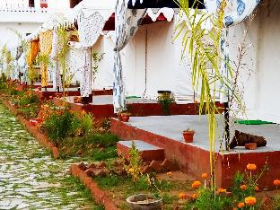 ranthambhore tiger valley