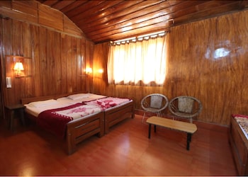 jungle mount adventures