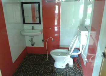 jungle mount adventures