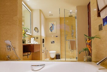 radisson blu plaza hotel mysore