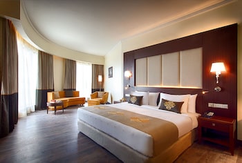 radisson blu plaza hotel mysore