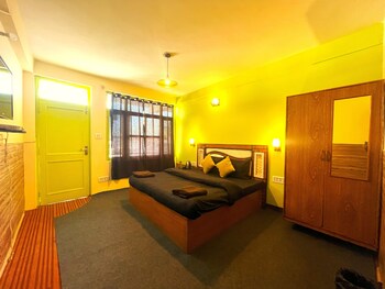 trippy turtle hostel