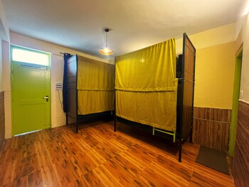 trippy turtle hostel