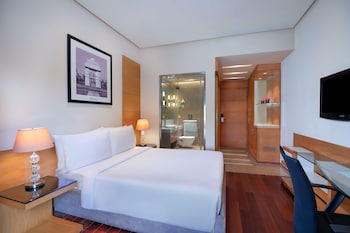 radisson blu marina hotel connaught place