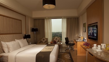 radisson blu hotel nagpur