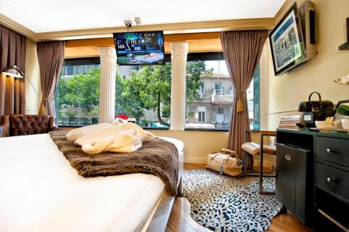room-image