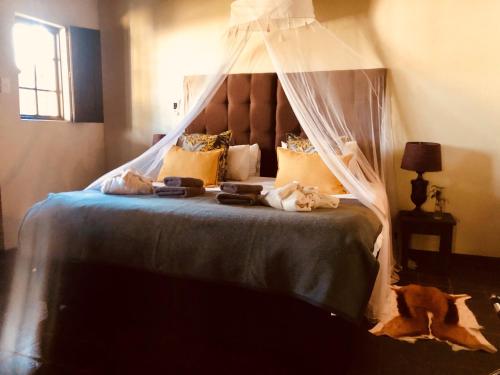 room-image