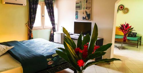 room-image