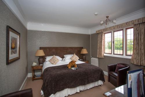 room-image