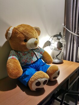 room-image