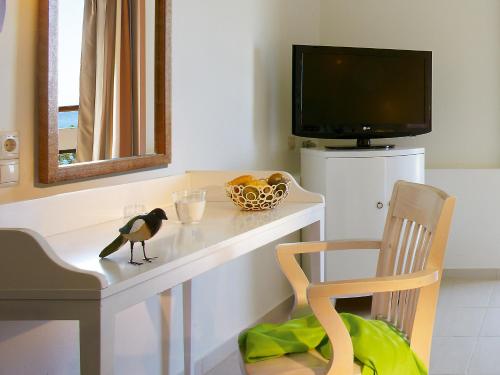 room-image