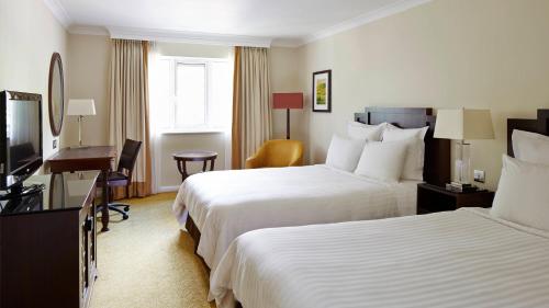 room-image