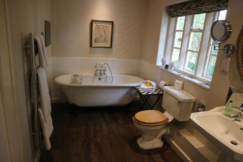 room-image