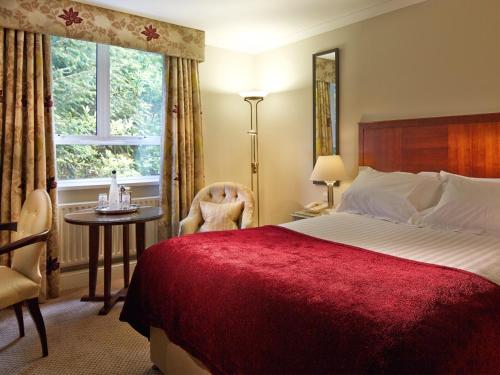 room-image