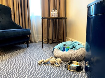room-image
