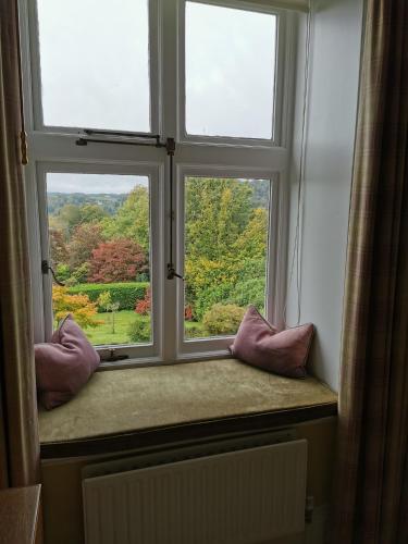 room-image
