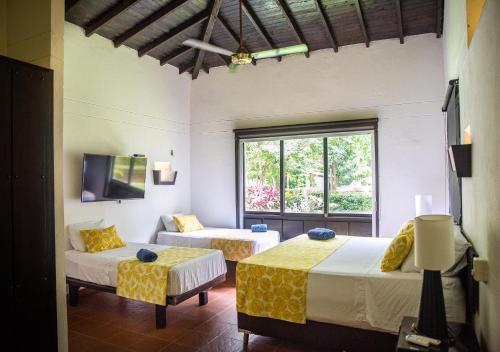 room-image